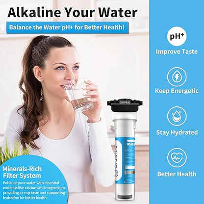 WINGSOL Water Filter for Sink Faucet, Reduce Heavy Metals/Chlorine/PFAS/PFOA/PFOS/Odor/Sediment, NSF/ANSI 42&53 Improve Taste, EZ Change Life Indication Mineral pH+ Under Sink Water Filter (Advanced)