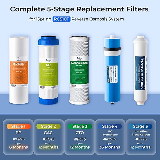 iSpring RCS10T Reverse Osmosis Water Filter, 5 Stage Tankless RO Water Filtration System for Commercial & Residential, High-Flow 1000 GPD, 2.5:1 Pure to Drain Ratio