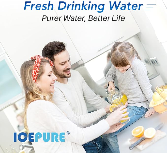 ICEPURE 1 Micron 20" x 4.5" inch Carbon Filter Cartridge, Coconut Shell CTO Big Blue Filter, Whole House Carbon Block Replacement Cartridge with FC25B,CTO20BB, WHB20,EPM-20BB,155783-43,CB-BB-20 2 Pack