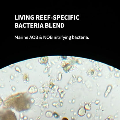 Saltwater Complete – Live Nitrifying Bacteria Blend for Saltwater & Reef Aquariums - Instant Cycle Marine Tank Starter - Removes Ammonia Nitrite - Clarifier - Safe for Fish Coral Invertebrates - 1Gal