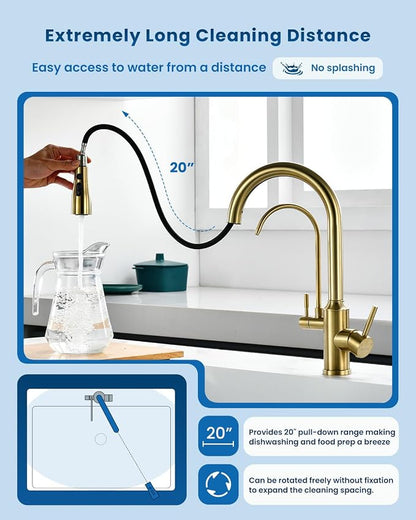 DAYONE Gold Kitchen Faucet with Drinking Purfied Water Faucet, High Arc 3 in 1 Sink Tap Stainless Steel 1 Holes, Two-Handle 3-Way Pull Down Sprayer, (Without System)