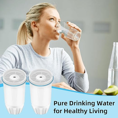 Water Replacement Filter for Zero, Fit Zerowater Pitcher ZR-001 ZR-004 ZR-017, 5-Stage Filter System 0 TDS, Certified to Reduce Lead, Chromium, and PFOA/PFOS, 0 Water Filters 2 Pack