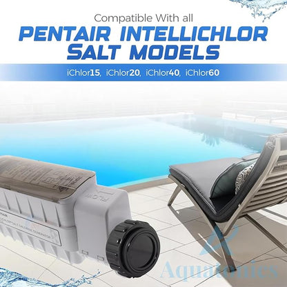Acid Cleaning Kit – Salt Cell Cleaner for Pool with O-Ring – Cell Cleaner Kit Compatible with Pentair 520670, IC15, IC20, IC40, IC60 Salt Cells – Heavy-Duty Kit for Salt Chlorinator System