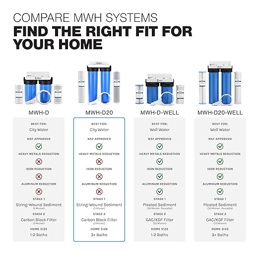 Whole House Filtration System 20" Dual Stage Commercial Grade Sediment Chlorine Taste Odor VOCs 1" Port