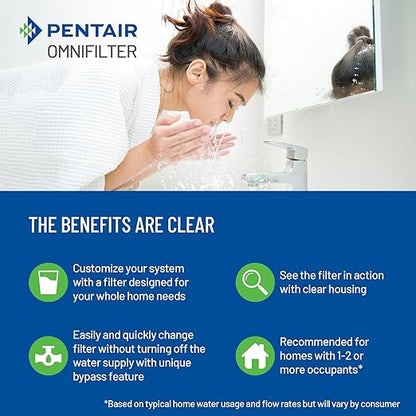 Pentair OMNIFilter Whole Home Valve-in-Head 10" Standard Duty Water Filtration System with Pressure Relief, Blue/Clear