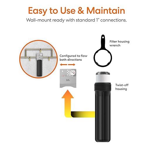 Brio Whole House Water Filter System w/Gauge & Fast-Flow Phosphate Anti-Scale Filter 4.5" x 20" | Removes Dirt, Improves Taste & Protects Home Appliances | 900 GPH | 100,000 Gallons or 12 Months