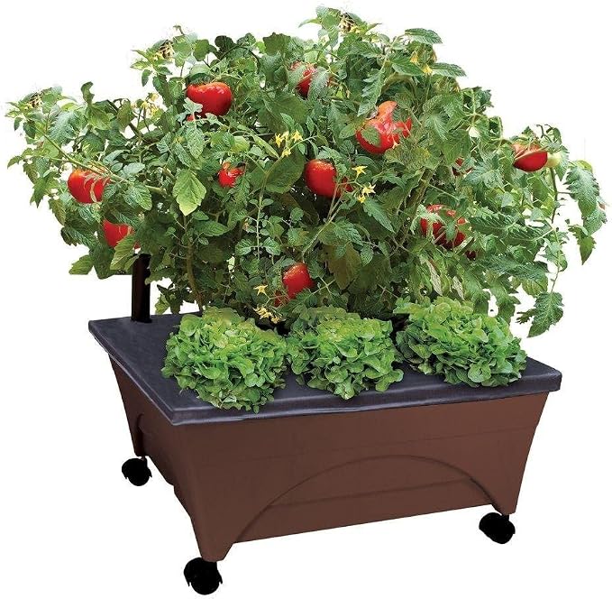 Emsco Group 2345 City Raised Bed Grow Box – Self Watering and Improved Aeration – Mobile Unit with Casters Picker, Earth Brown