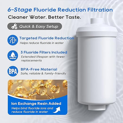 LCF Gravity-fed Water Filter System, 3 Gallons Stainless-Steel System with 6 Filters, Metal Water Level Spigot and Stand, Reduces Chlorine & Fluoride (Fluoride Filters)