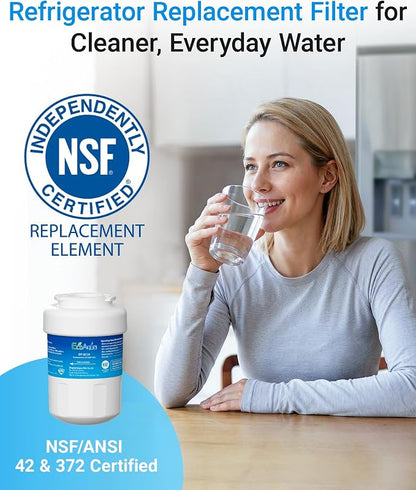 EcoAqua EFF-6013A Replacement Filter, Compatible with GE MWF SmartWater, MWFA, MWFP, GWF, GWFA, 46-9991, HDX FMG-1, WFC1201, GSE25GSHECSS, PC75009, RWF1060 Refrigerator Water Filter, 2 Pack | Replacement for SmartWater, MWFA, MWFA, GWF, 46-9991, HDX FM...