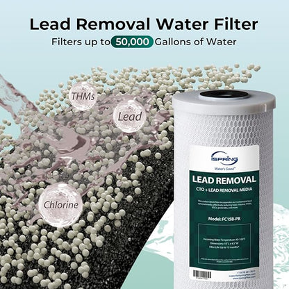 iSpring F2WGB21BCPB 10" x 4.5" Whole House Water Filters for WGB21B Series Water Filter Systems, includes Sediment and Lead-Removal Filters