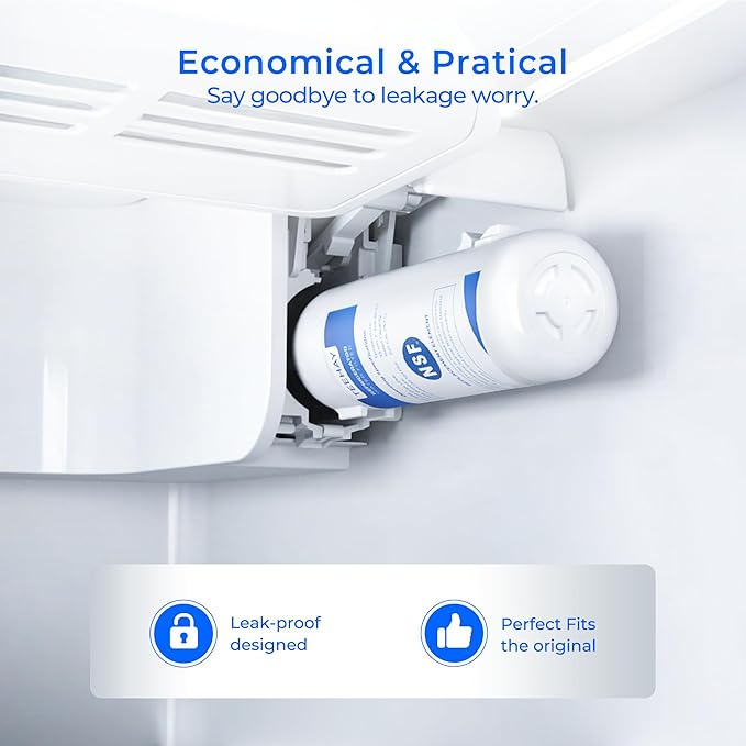 TEEHAY 9081 Water Filter Replacement, Compatible with Whirlpool P5WB2L, P4RFWB, Kenmore P4RFKB2, Kenmore 9930, 46-9930, 9081, 46-9081, 9930P, 469930, 04609930000 (2 Pack)
