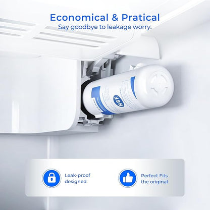 TEEHAY 9081 Water Filter Replacement, Compatible with Whirlpool P5WB2L, P4RFWB, Kenmore P4RFKB2, Kenmore 9930, 46-9930, 9081, 46-9081, 9930P, 469930, 04609930000 (2 Pack)