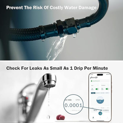 Frizzlife LP365 Smart Water Monitor and Automatic Shutoff - 0.01GPM Ultrasonic Micro Leak Detection, APP Wi-Fi Remote Control, Real-Time Flow/Temp Monitoring, 24/7 Water Usage Reports, 3/4" and 1"