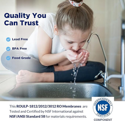 Membrane Solutions NSF/ANSI 58 Certified 100 GPD 11.75x1.75 Reverse Osmosis Membrane 5-Pack for Home RO Water Systems Maple Syrup DIY Aquariums