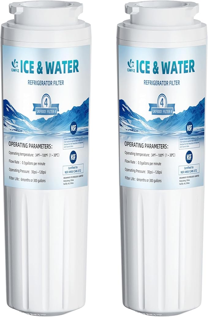 Replacement Compatible with EDR4RXDI Replacement Filter 4, Double-Pack