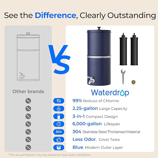 Waterdrop TK-AP Gravity Water Filter System, NSF/ANSI 42&372 Standard, Blue | Reduces Lead and Chlorine, Stainless Steel Water System with 2 Carbon Filters for Home, Emergencies, 2.25G