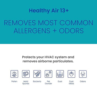 AprilAire 513CBN Replacement Filter for AprilAire Whole House Air Purifiers - MERV 13 with Carbon, Healthy Home Allergy + Odor Reduction, 31x28x4 Air Filter (Pack of 2)