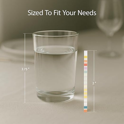 Restaurantware Instant Multiple-Use Water Test Kit 100 Count 17-in-1 Water Test Kit, 2 Bacteria Tests, For Tap & Well Water, Chlorine Testing Strips, Tests For Lead, Bacteria, Hardness, Fluoride