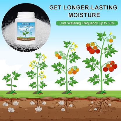 XSEINO 2LB Soil Moisture Crystals Water-Absorbing Hydrogel for Plants Solves Over and Under-Watering, Long-Lasting Water Retention to Keep Soil Moist Polymer Water Storage Crystals
