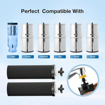 Black Purification Elements, Replacement for ProOne® and Berlkey® Big+ Gravity Water Filters System, NSF/ANSI 42&372 Certified Replacement Filter Elements, 0.01 Micron Filtration (2 Pack)