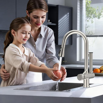 FEELSO Kitchen Faucets with Filtered, Stainless Steel Filter Kitchen Faucet with Pull Down Sprayer Reduces Lead, Chlorine, Bad Taste & Odor,High Arc Kitchen Sink Faucet 1 or 3 Hole for Farmhouse