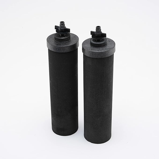 Set of 2 Berkey Authentic Black Berkey Elements (BB9-2) and 2 PF-2 Fluoride Reduction Elements - Combo Pack