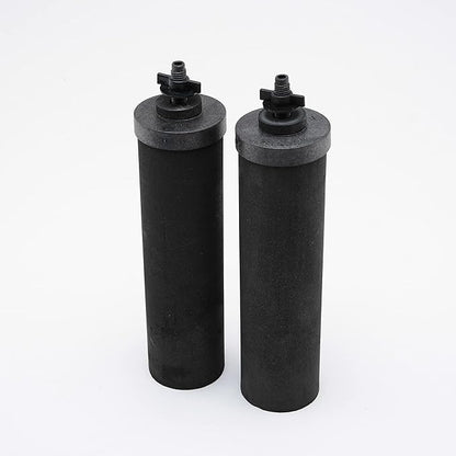 Set of 2 Berkey Authentic Black Berkey Elements (BB9-2) and 2 PF-2 Fluoride Reduction Elements - Combo Pack