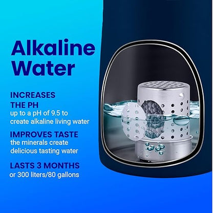 DYLN VitaBead Diffuser | Creates Hydrogen-Rich, pH 9+ Alkaline Antioxidant Water | Replacement for DYLN Bottle | Natural Mineral Ionized Hydrogen Generator for Delicious Tasting Water | 1-Pack