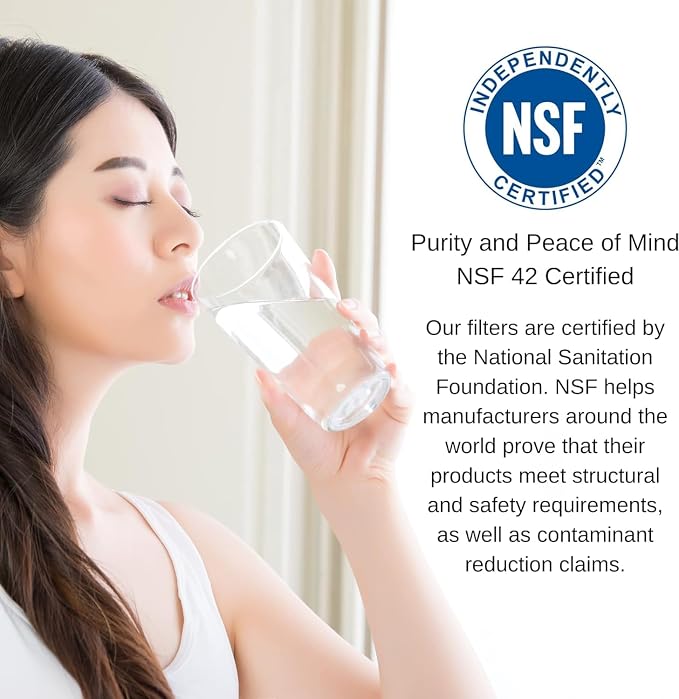 PureT Alkaline Remineralization RO Filter, 2"x10", 1/4" EZ Connect | NSF certified, raises pH, adds calcium & magnesium - RO system mineral enrichment - Homeowners upgrading RO water