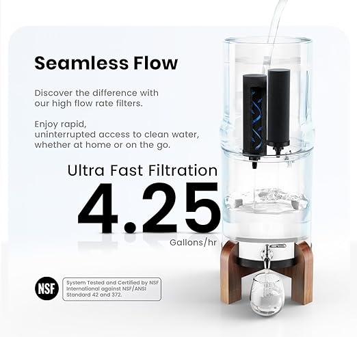 Phoenix Gravity - AISI 304 Stainless Steel 4.25 Gallon Water Filter System, NSF/ANSI 42 & 372 Certified 2 Carbon Filter Elements, 2 POSTreat Fluoride Reduction Filters & Free Stainless Steel Spigot
