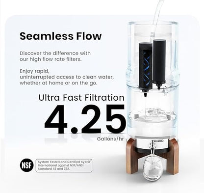 Phoenix Gravity - AISI 304 Stainless Steel 4.25 Gallon Water Filter System, NSF/ANSI 42 & 372 Certified 2 Carbon Filter Elements, 2 POSTreat Fluoride Reduction Filters & Free Stainless Steel Spigot
