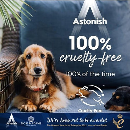 Astonish Descaling Foaming Powder | Tea & Coffee Mugs, Pots, Kettles & Stainless Steel | Dissolves Limescale & Eliminates Stains Clean & Revive (Pack of 6)