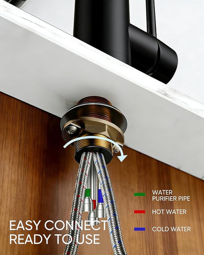 WANFAN Kitchen Sink Faucet with Pull Down Sprayer 2 Handle 3 in 1 Water Filter Purifier Faucets Black 0195R