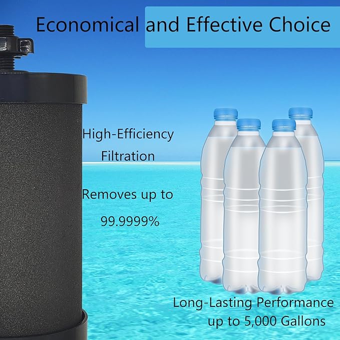 2387 Filter Replacement,for Alexapure Water Filter Replacement,Compatible with Alexapure Pro Water Filtration System - 2 Pack Black