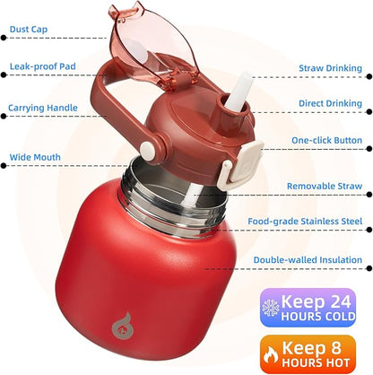 BJPKPK Insulated Water Bottles with Straw, 20 oz Cute Water Bottles with Handle, BPA Free Stainless Steel Metal Jug, Easy Carry Flasks for Men & Women, Red
