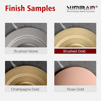 SUMERAIN Kitchen Water Filter Faucet NSF Certification 100% Lead-Free | Brushed Gold, SUS304 Stainless Steel, Drinking Water Faucet for Kitchen Sink, for Reverse Osmosis or Water Filtration System