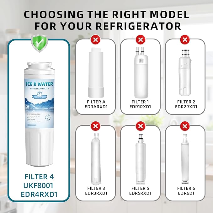 Replacement Compatible with EDR4RXDI Replacement Filter 4, Double-Pack