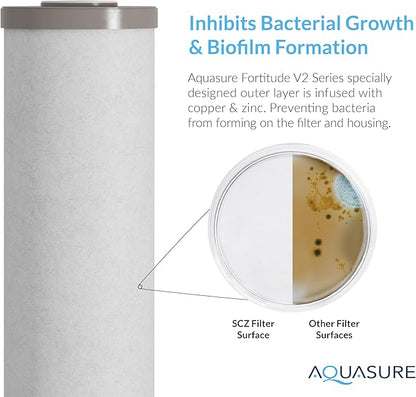 Aquasure Fortitude V2 Series | Sediment/Carbon/Zinc Bacteria Inhibiting Triple Purpose Replacement Filter - Large