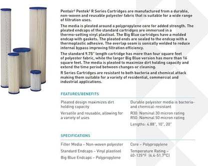 Pentair Pentek R30-BB Big Blue Sediment Water Filter, 10-Inch, Whole House Pleated Polyester Filter Cartridge, 10" x 4.5", 30 Micron