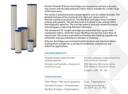 Pentair Pentek R30-BB Big Blue Sediment Water Filter, 10-Inch, Whole House Pleated Polyester Filter Cartridge, 10" x 4.5", 30 Micron, Pack of 8, White