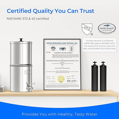 Waterdrop TK-AB Gravity Water Filter System, NSF/ANSI 42&372 Standard, Reduces Chlorine, Stainless-Steel System with Silver Ions Enhanced Filtration with 2 Black Carbon Filters, 2.25G