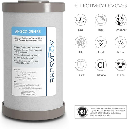 Fortitude V2 Series Sediment/Carbon/Zinc Bacteria Inhibiting Triple Purpose Replacement Filter - Standard (Sediment/Carbon/Zinc, Standard)