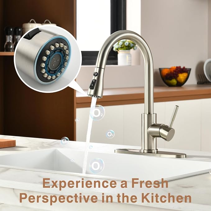 RULIA Kitchen Faucet, Pull-Down Sink Faucet with Free Water Filter, Brushed Nickel, PB1020