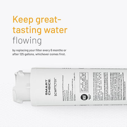 Smart Choice SCWFTCTO1 Refrigerator Water & Ice Filter, Genuine Replacement for Frigidaire EPTWFU01 PureSource Ultra II and Electrolux EWF02 PureAdvantage