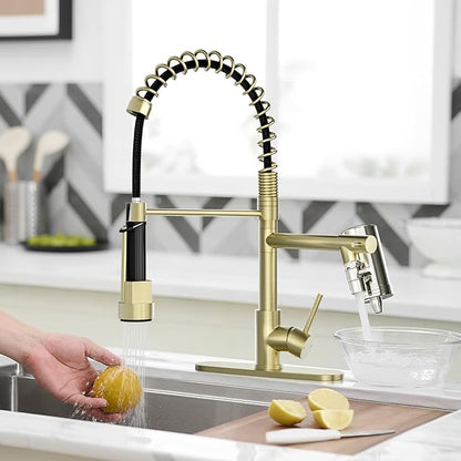 AIMADI Gold Kitchen Faucet with Water Filter and Deck Plate, Commercial Spring Brushed Gold Pull Down Kitchen Sink Faucet for Drinking Water, Farmhouse, RV, Utility or Laundry Sink