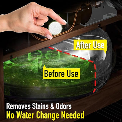 Water Purification Tablets for Rowing Machines | Safe & Eco-Friendly Tank Cleaner for Fresh, Odor-Free Water | Easy-to-Use Cleaning Solution for All Water Rowers (4)