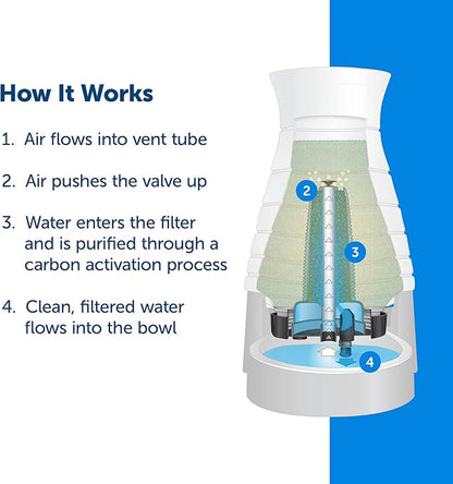 PetSafe Healthy Pet Water Filter, for Healthy Pet Water Station for Dogs and Cats (Pack of 6)