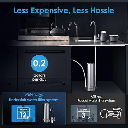 Waterdrop BS13 Under Sink Water Filter, 6 Stage Stainless Steel, Reduce PFAS, PFOA/PFOS, Lead, Chlorine, Bad Taste & Odor, No Drilling Required, NSF/ANSI 42 Certified, Included A New Faucet