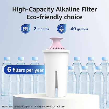 Overbest Magnesium Pitcher Water Filter, Replacement for Brita® Pitchers and Dispensers, Brita® Classic 35557, OB03, Mavea® 107007, and More, Includes 6 Filters