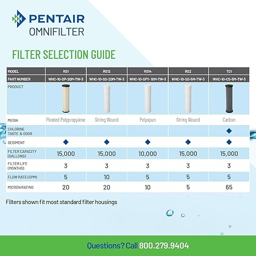 Pentair OMNIFilter Whole Home Valve-in-Head 10" Standard Duty Water Filtration System with Pressure Relief, Blue/Clear